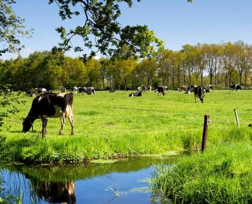Agro transitiebegeleiding
