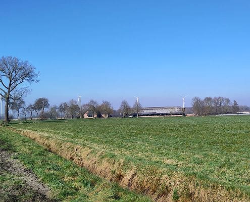 duurzame toekomst melkveehouder Lars van Loenhout