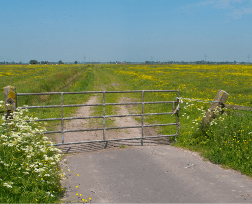 melkveehouder natuurinclusief boeren