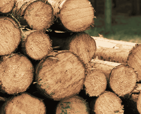 Wat betekent de EUDR wetgeving voor MKB-ondernemers