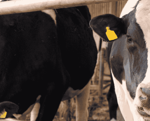 Header GLB voucher kennisvoucher