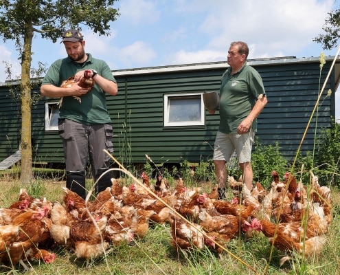 peter van agt van fladderfarm