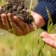 Regeneratieve landbouw