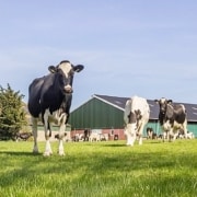 gesprek opvolging agrarische ondernemer
