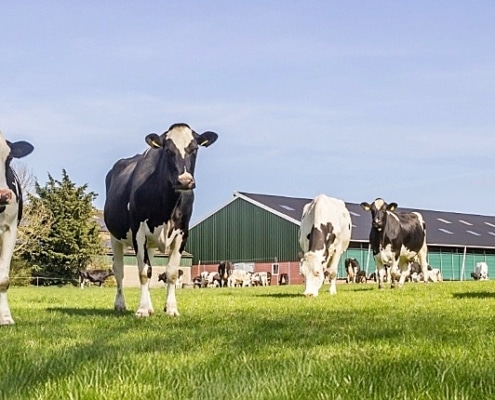 gesprek opvolging agrarische ondernemer
