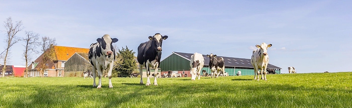 gesprek opvolging agrarische ondernemer gesprek opvolging agrarische ondernemer