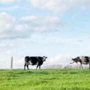 natuurinclusieve landbouw duurzame winst voor boer en natuur