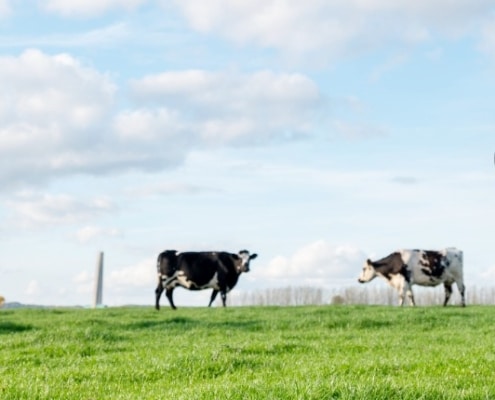 natuurinclusieve landbouw duurzame winst voor boer en natuur