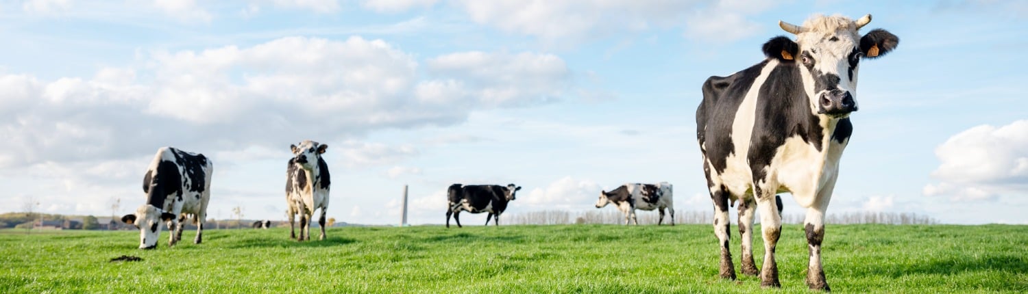 natuurinclusieve landbouw duurzame winst voor boer en natuur natuurinclusieve landbouw duurzame winst voor boer en natuur