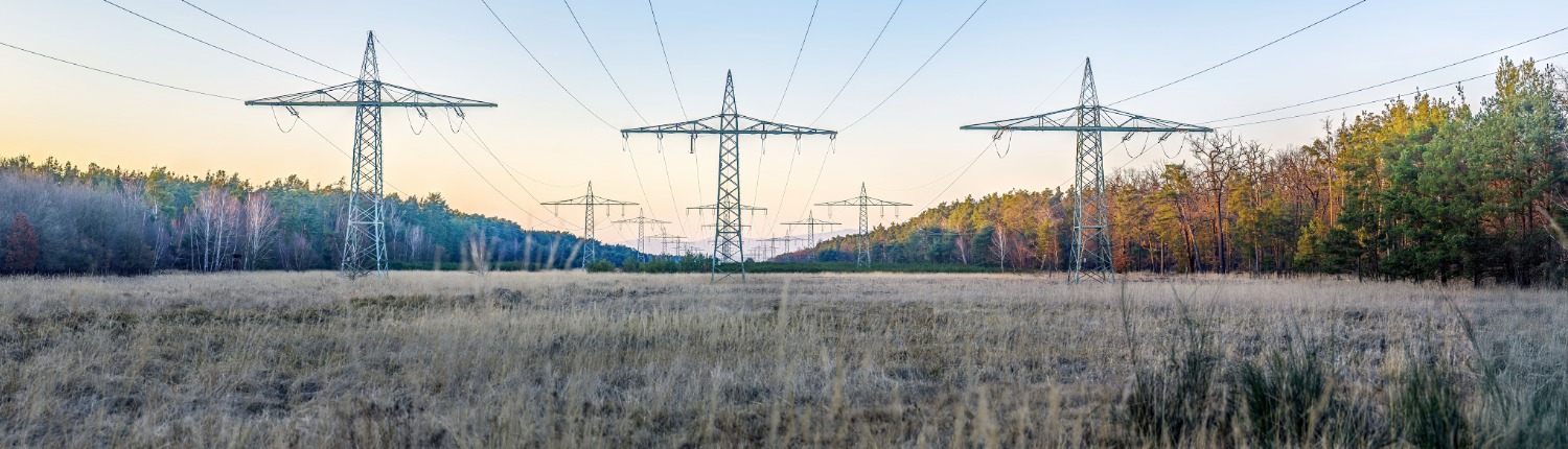 netcongestie mkb ondernemer kans