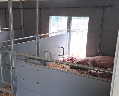 biologische varkenshouder omschakeling evo kompas