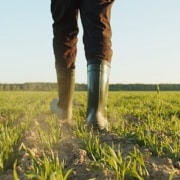 investeringsfonds duurzame landbouw