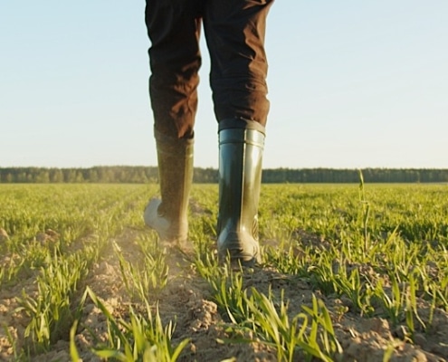 investeringsfonds duurzame landbouw