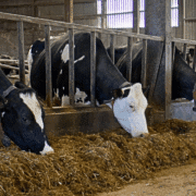 overstap omschakelen naar biologische landbouw