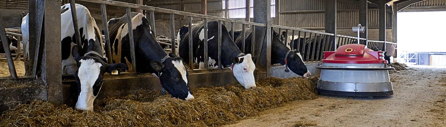 overstap omschakelen naar biologische landbouw