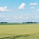 Gebiedsgericht beleid komt dichterbij zo bepaal je als boer je eigen koers