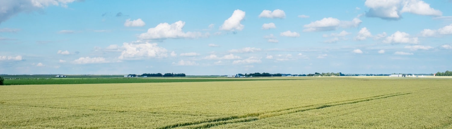 Gebiedsgericht beleid komt dichterbij zo bepaal je als boer je eigen koers Gebiedsgericht beleid komt dichterbij zo bepaal je als boer je eigen koers