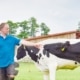 LVVP voor veehouders wanneer is verplaatsen een kansrijke optie