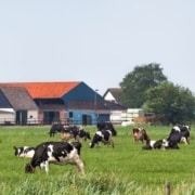 Eco-regeling 2027 wat verandert er voor boeren