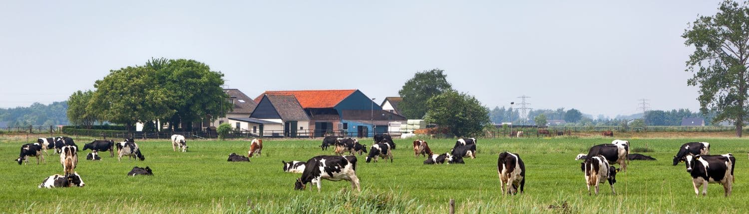 Eco-regeling 2027 wat verandert er voor boeren Eco-regeling 2027 wat verandert er voor boeren